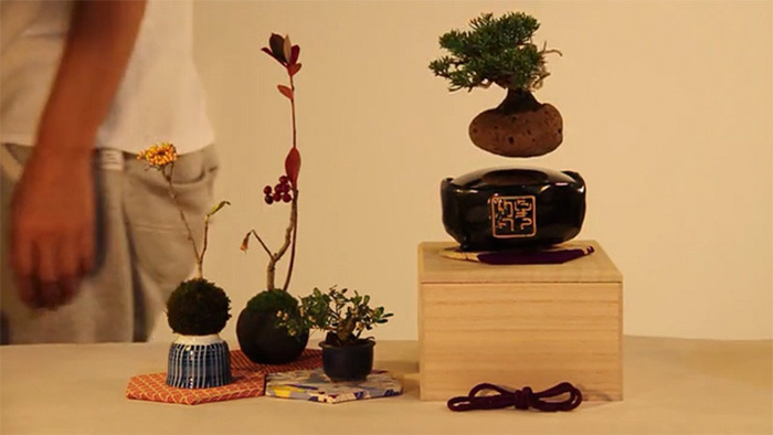 arbol-bonsai-flotante-levita3
