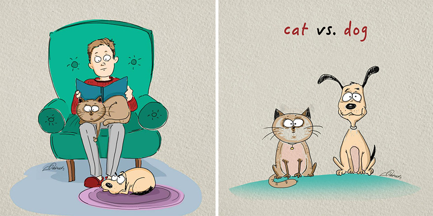 gatos-vs-perros-diferencias-bird-born-ilustraciones-1