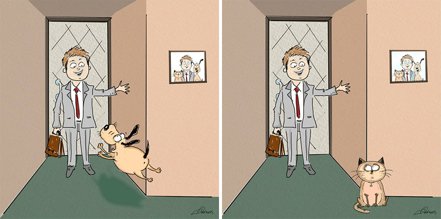 gatos-vs-perros-diferencias-bird-born-ilustraciones-2