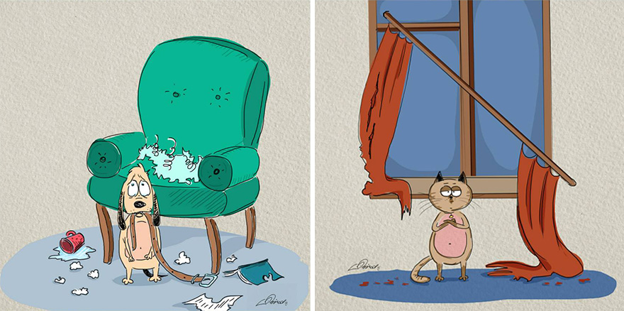 gatos-vs-perros-diferencias-bird-born-ilustraciones-5
