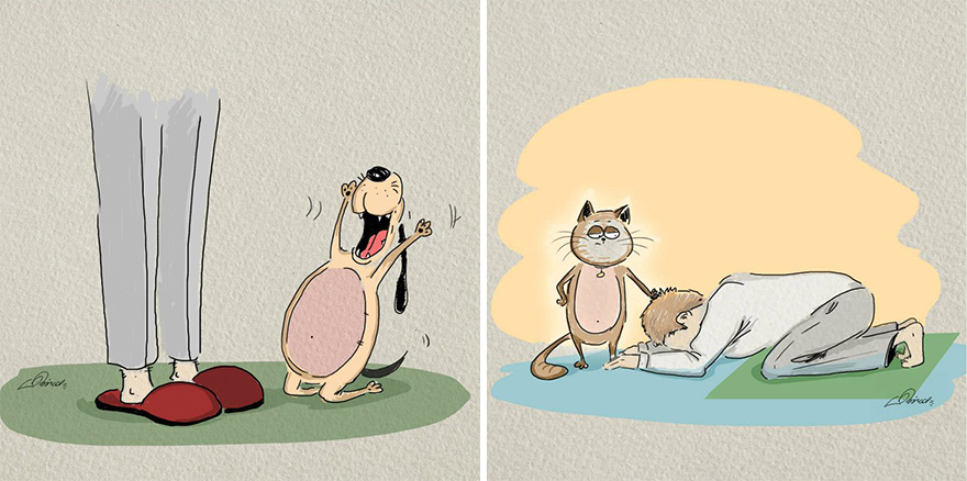 gatos-vs-perros-diferencias-bird-born-ilustraciones-6