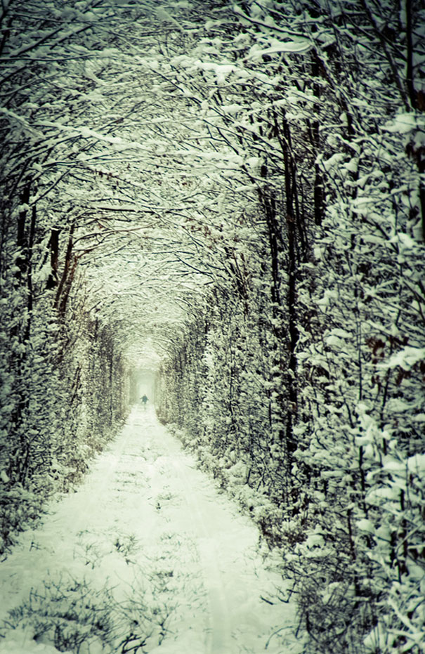 tunnel-of-love-ukraine-3