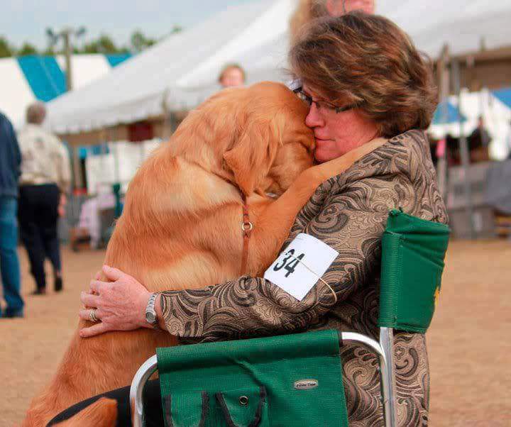 perro-situaciones-curiosas-perro-abraza-mujer-silla-ruedas