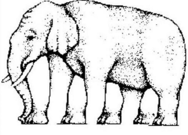 cuantas patas tiene el elefante