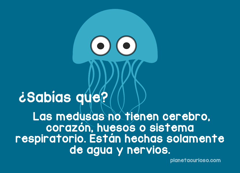 7 Datos Curiosos para Niños que tal vez ni tú sabías | Planeta Curioso