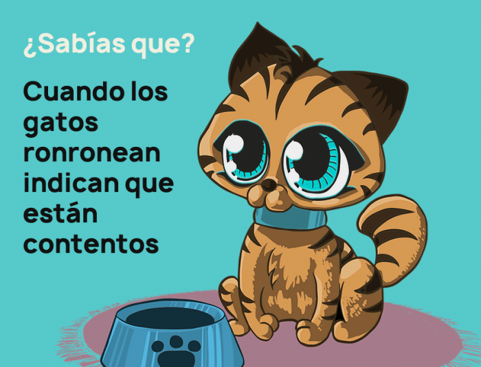 17 Datos Curiosos Para Niños Que Tal Vez Ni Tú Sabías Planeta Curioso