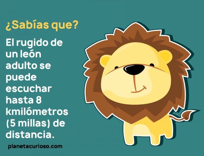 10 Datos Curiosos para niños que tal vez ni tú sabías #2 | Planeta ...