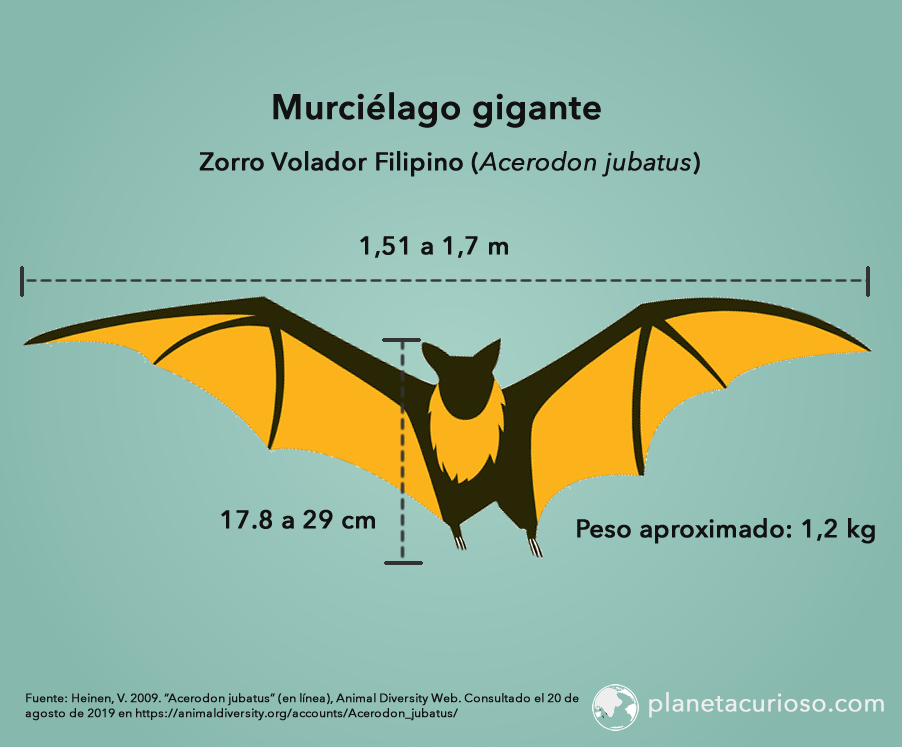 Murcielago Gigante