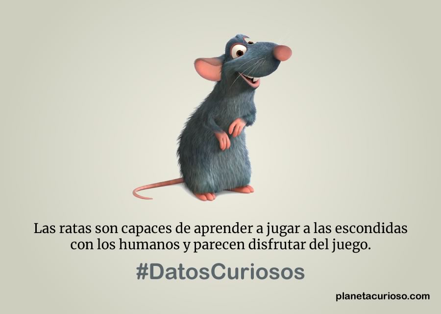 datos curiosos sobre los animales