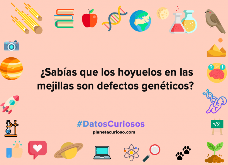 datos curiosos