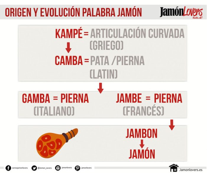 Infografía del origen de la palabra jamón
