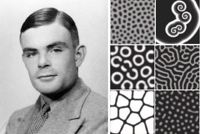 Alan Turing y patrones naturales