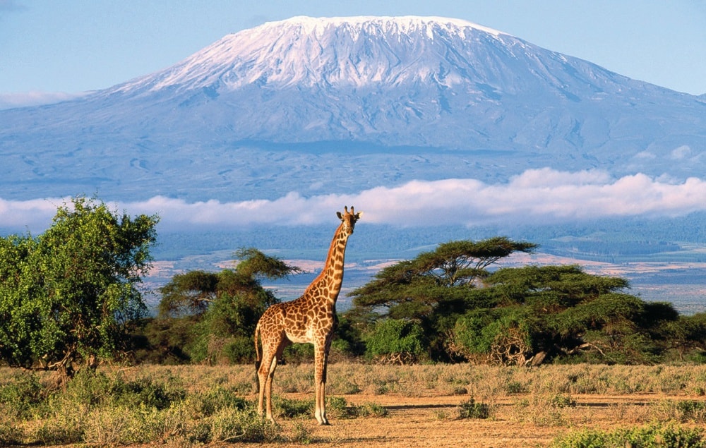 Kilimanjaro, montaña más alta de África