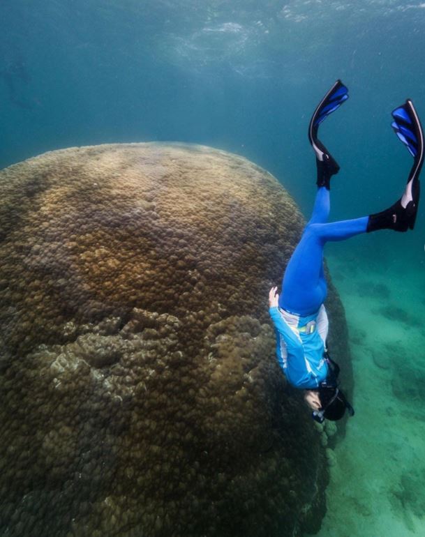 Muga dhambi coral de 400 años en Gran Barrera Coral