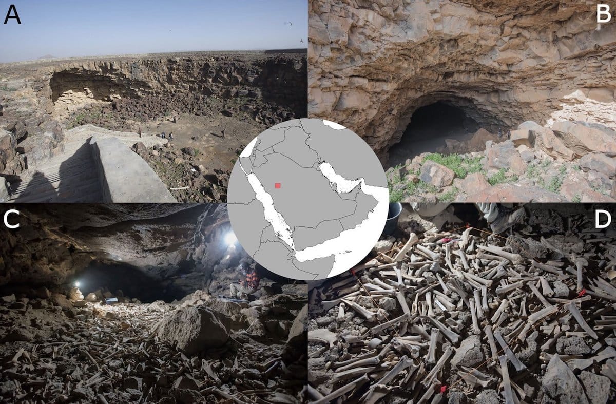 Hallan huesos en cueva de Arabia