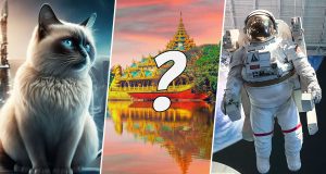 datos gatos siameses tailandia