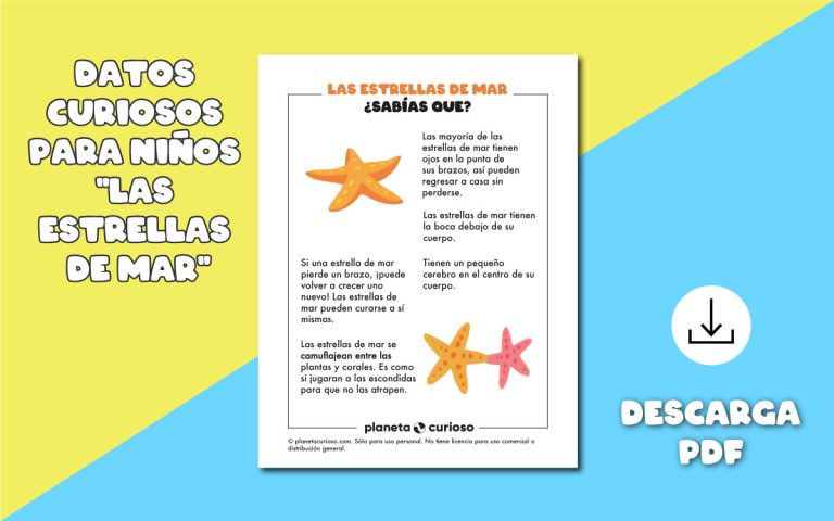 curiosidades de las estrellas de mar para niños