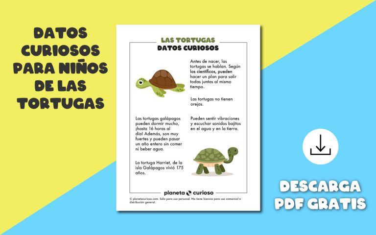 curiosidades de las tortugas para niños