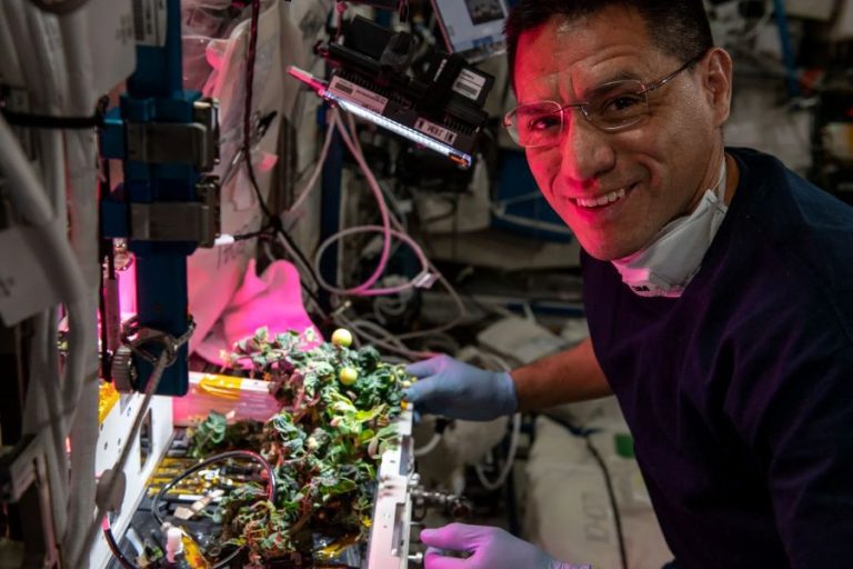 Astronauta Frank Rubio cultivando tomates